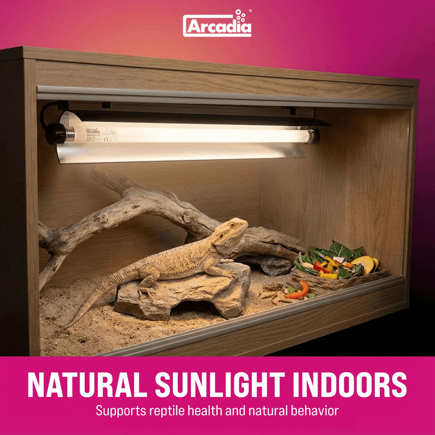 Amazon.com : Arcadia T5 UVB Reptile Light Fixture Kit 36